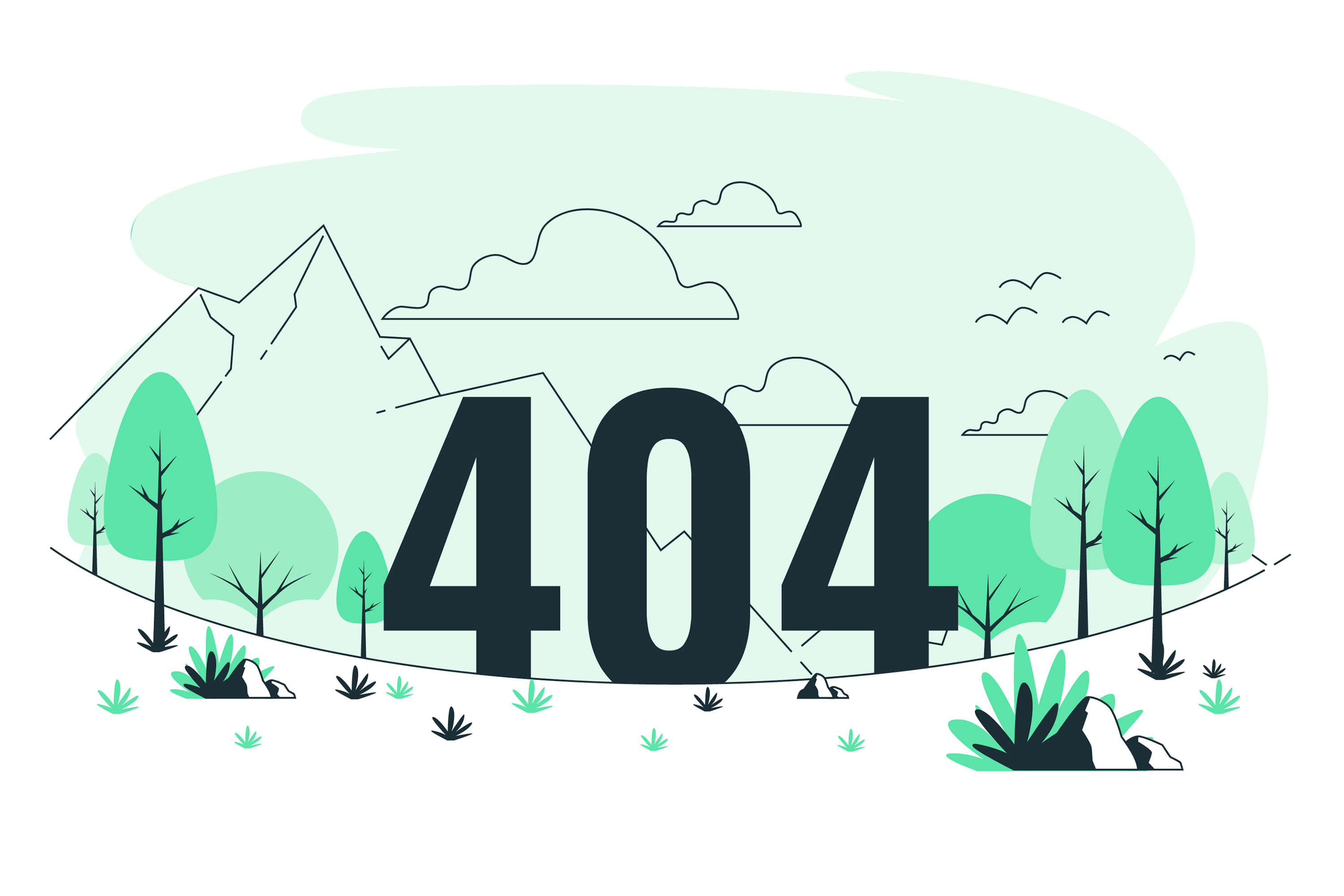 404