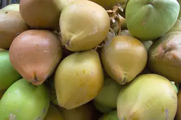 A close heap of green and yellow tender coconuts in Havelock Island