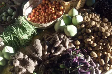A close heap of tomatoes in a basket, long beans, potatoes, yams, brinjals and pale gourds on a market floor in Havelock Island