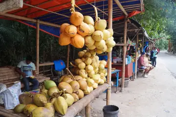 হ্যাভলক দ্বীপে বাঁশের মাচায় স্তূপ করা হলুদ নারকেল, পেছনে বসে এক বিক্রেতা