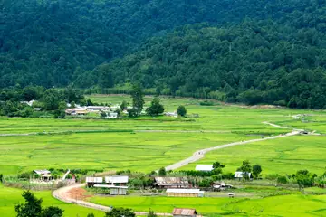 A green valley of paddy fields with farm sheds, a winding road and forested hills behind