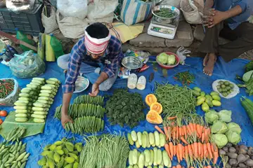 A seller in a headband arranging cucumbers, beans, carrots and gourds on a blue sheet at a Sunday market in Guwahati