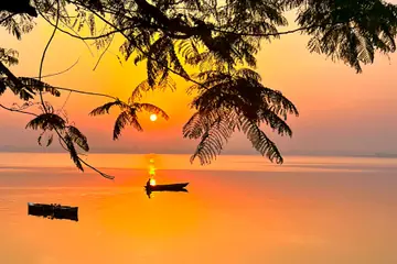A small boat in silhouette on still orange water at sunrise, tree leaves hanging across the top of the picture