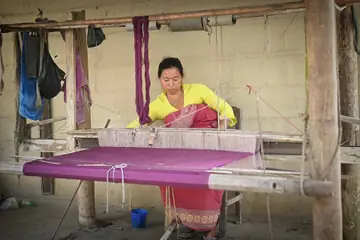 A woman in a yellow blouse weaving a length of purple cloth at a wooden loom in a house