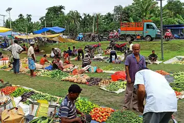 A weekly market on a green field in Nagaon: sellers and shoppers among heaps of tomatoes, gourds and leaves under blue tarpaulins