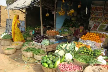 A vegetable and fruit stall in Bodh Gaya with baskets of gourds, cauliflower, onions and oranges