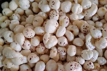 A heap of puffed white makhana, or fox nuts, with brown spots