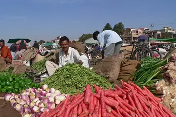 A seller with heaps of carrots, green beans, peppers and turnips at the Apni Mandi farmers' market in Chandigarh