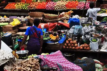 A busy market stall in Goa with piles of tomatoes, onions, ginger and coconuts and a woman in a blue top bending over the goods