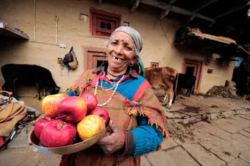 An older woman in a woollen shawl holding a brass dish of red and yellow apples in her farmyard near Manali