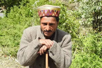 A man in a patterned Himachali cap and a tweed coat, leaning on a stick among green bushes