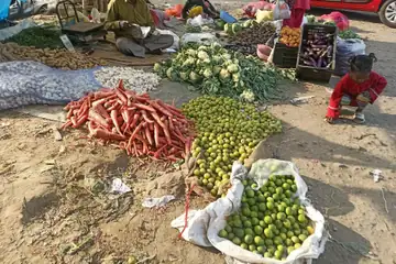 जमशेदपुर के बाज़ार में गाजर की ढेरियों, बोरों में नींबू और फूलगोभी के बीच बैठा सब्ज़ी वाला, पास में हाथ का तराज़ू