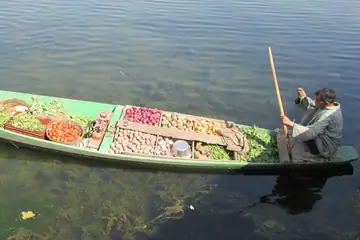 A boatman poles a shikara loaded with beans, tomatoes and potatoes.