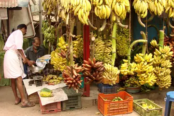Bananas hanging at a market stall in Thiruvananthapuram while the seller weighs an order