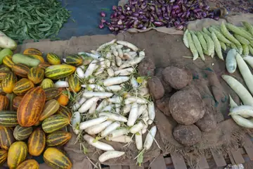 Gourds, radishes, yams and brinjals laid out at Kottappuram market, Kerala
