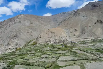 नंगे भूरे पहाड़ों के नीचे जौ के हरे सीढ़ीदार खेत और एक गाँव।