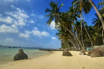 A sandy beach on Kalpeni with leaning coconut palms, dark rocks and calm shallow sea