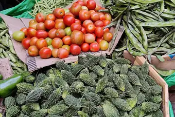 Tomatoes, green beans and bitter gourds heaped on a vegetable stall in Shillong