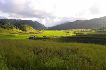 A green paddy valley with small field huts between hills