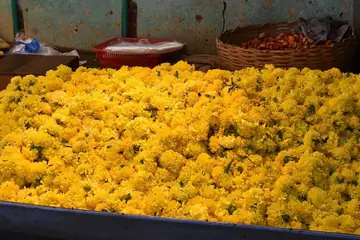 பூக்கடையில் மஞ்சள் சாமந்திப் பூக்களின் பெரிய குவியல், ஓரத்தில் கைத்தராசு