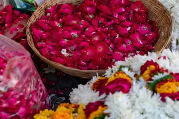 Jaipur ke phool ke thele par tokri mein laal gulaab ki pankhudiyan, bagal mein genda aur safed phool ki malaayein