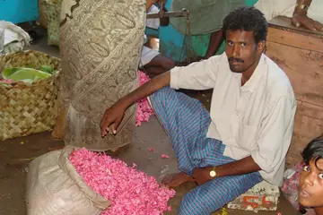 A flower seller sitting by a sack of pink petals in Madurai market