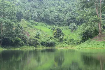 A steep green hillside with banana plants and trees reflected in still lake water at Dumboor Lake