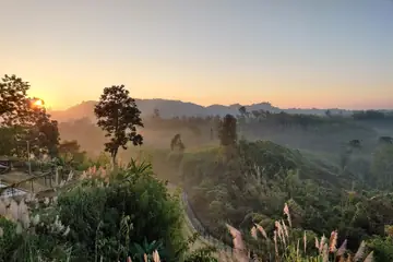The sun rising over layers of green hills with tall grass in the front, in Tripura