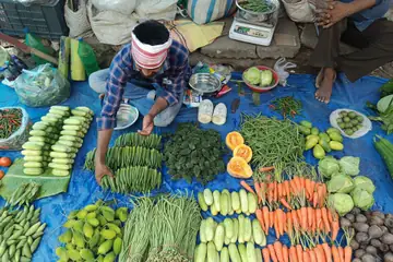 A seller sitting by rows of cucumbers, beans, carrots, cabbages and pumpkin on a blue sheet at Beltola Market, Guwahati