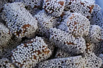 Brown fudge squares coated in white sugar balls, heaped up close