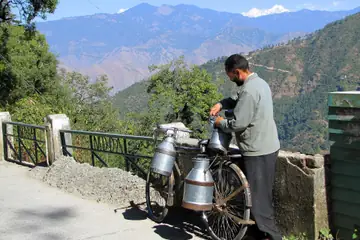 A milkman filling steel milk cans on his bicycle on a hill road
