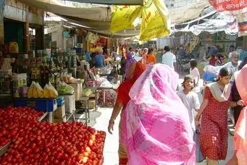 Shoppers in a busy market lane between a tomato stall and rows of shops