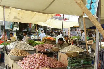 Stalls of onions, garlic and potatoes side by side under cloth awnings with sellers at their scales