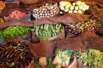Baskets of aubergines, green chillies, okra, spring onions and radish laid out on sacking in Trimbakeshwar