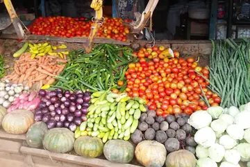 தக்காளி, கேரட், பீன்ஸ், கத்தரிக்காய், பூசணி, காலிஃபிளவர் குவியல்கள் உள்ள காய்கறிக் கடை