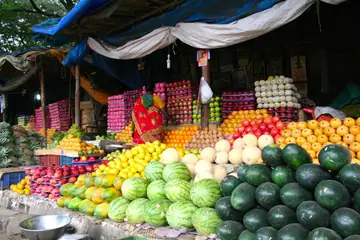A market fruit stall with heaps of watermelons, oranges, apples and grapes under a tarpaulin in Bengaluru