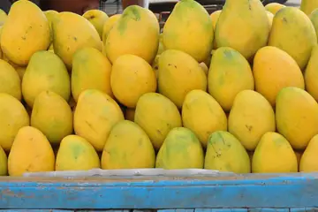 Yellow mangoes piled high on a blue fruit cart