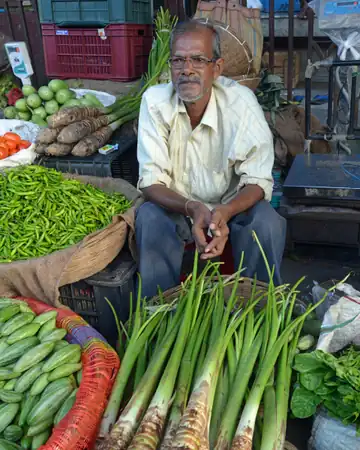A vegetable seller sitting behind spring onions, green chillies and cucumbers in Siliguri, West Bengal