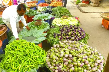 A seller arranging heaps of green chillies, brinjals and leafy vegetables on a market stall